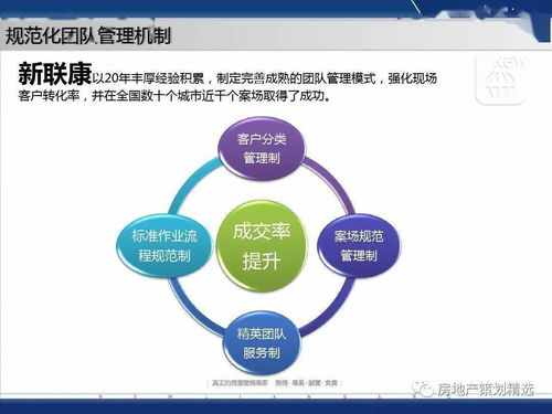 策划 成都蓝光地产观岭国际营销方案报告ppt